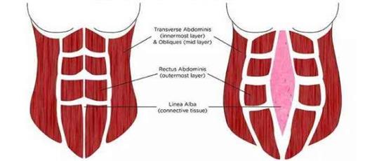 熱門話題之產(chǎn)后腹直肌分離如何康復(fù)，腹直肌修復(fù)儀器功不可沒(méi)
