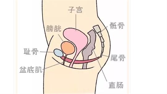 通澤便攜產(chǎn)后康復(fù)治療儀，促進(jìn)產(chǎn)后快速恢復(fù)