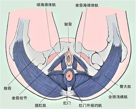 產(chǎn)康門店創(chuàng)業(yè)，開展什么產(chǎn)康項目合適呢？