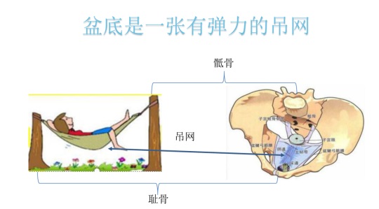 女性盆底康復(fù)要及時(shí)，否則抱憾終身，婦科盆底康復(fù)治療儀幫到您