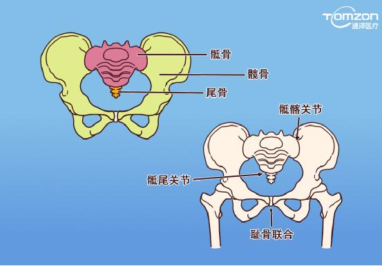 盆底肌康復(fù)儀能不能呵護(hù)健康？