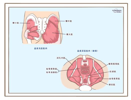 盆底康復(fù)治療儀可以緩解絕經(jīng)后出現(xiàn)的癥狀嗎？